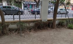 Unidas Podemos denuncia la falta de mantenimiento en los Jardinillos y el pésimo estado de sus aseos