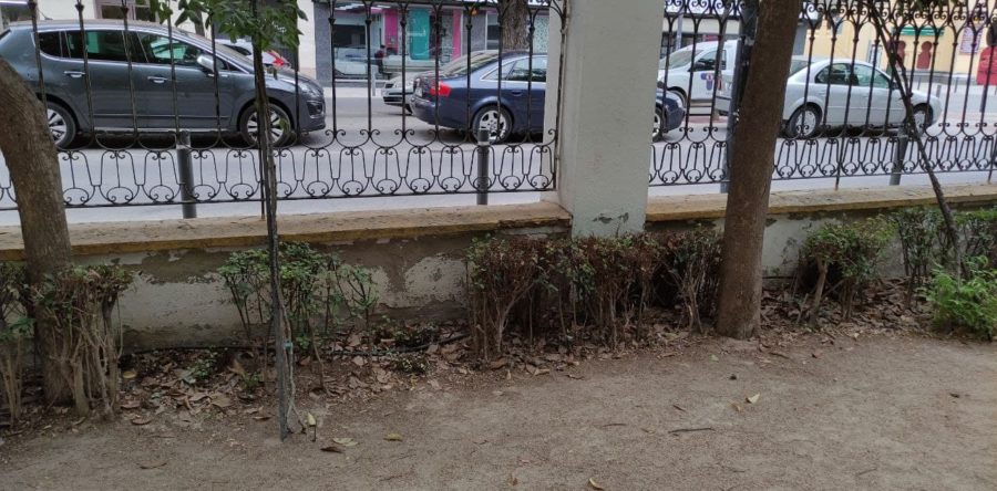 Unidas Podemos denuncia la falta de mantenimiento en los Jardinillos y el pésimo estado de sus aseos