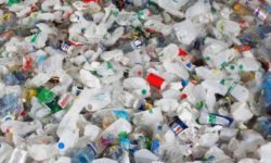 Unidas Podemos lamenta la inacción del equipo de gobierno para eliminar el plástico de un solo uso en la Feria