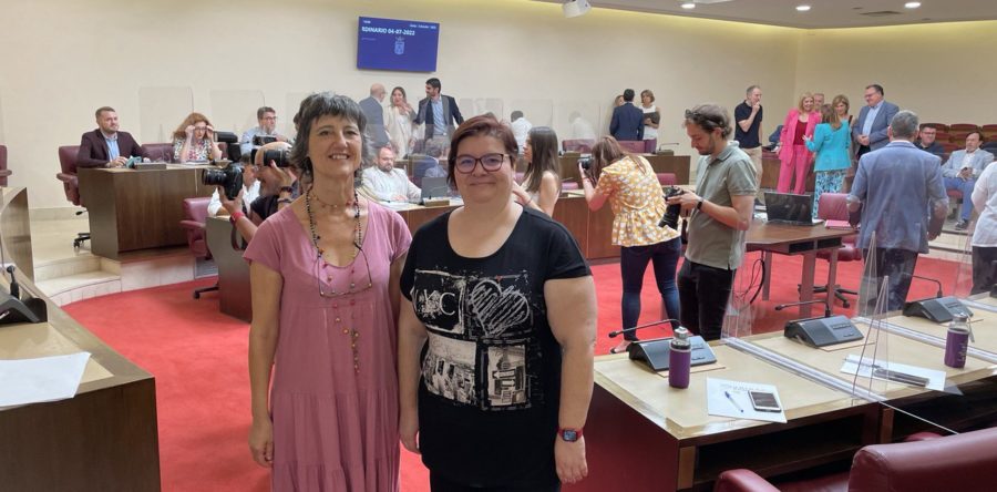 Unidas Podemos advierte al alcalde que peatonalizar el centro no es la panacea para dinamizar la ciudad