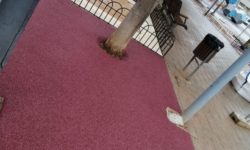 Unidas Podemos cree que recubrir los alcorques de caucho no ayuda a tener una ciudad más verde